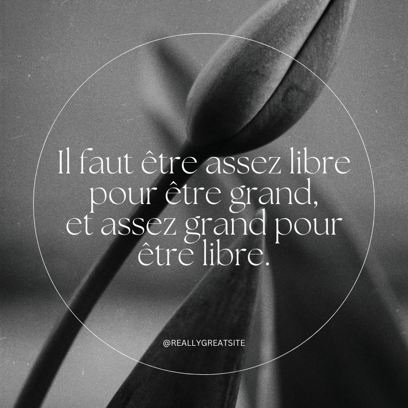 Il faut être assez libre pour être grand, et assez grand pour être libre.